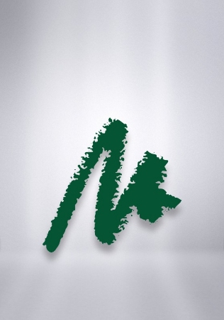 مدادچشم استار لاینر آرکانسیل Arcancil Star Liner (کد رنگ 502)