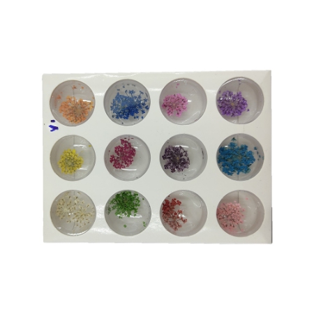 پالت گل خشک 12 عددی شماره 2