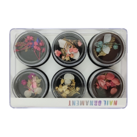 پالت گل خشک 6 عددی شماره 4