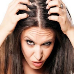 تصویر برای دسته  ضد شپش