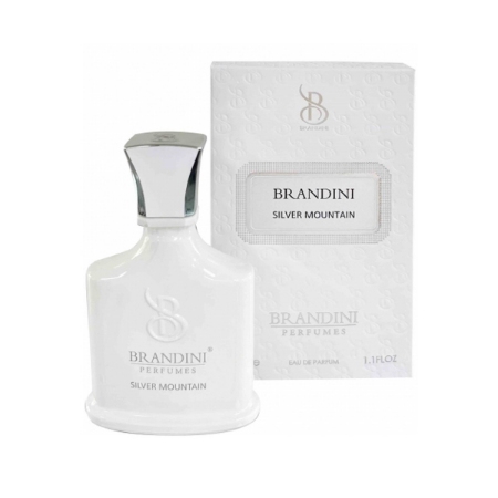 عطر جیبی زنانه و مردانه برندینی مدل Silver Mountain حجم 33 میلی لیتر