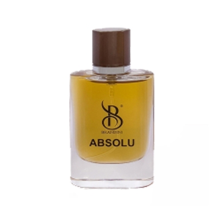 عطر جیبی مردانه برندینی مدل Absolu حجم 25 میلی لیتر