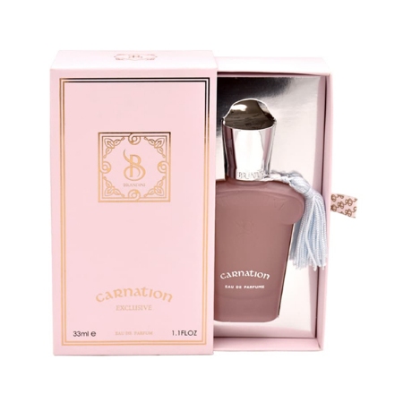 عطر جیبی مردانه زنانه برندینی مدل Carnation حجم 33 میلی لیتر