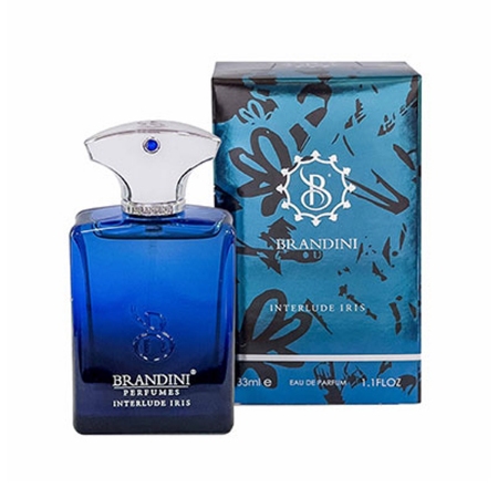 عطر جیبی مردانه برندینی مدل اینترلود ایریس حجم 33 میلی لیتر