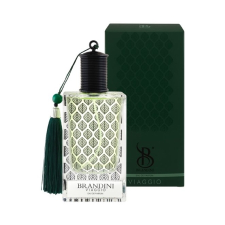 ادوپرفیوم مردانه برندینی مدل Viaggio