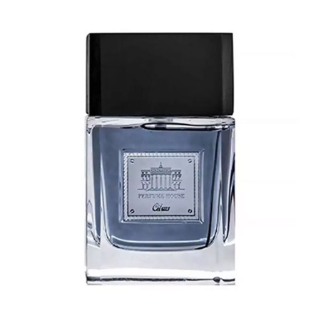 ادوپرفیوم مردانه پرفیوم هاوس مدل CITRUS